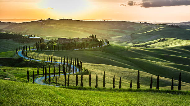 Scenic Tuscan landscape with vineyards and cypress-lined roads, a top travel destination for wine lovers and art enthusiasts in 2026  - Image by istockphoto.com.