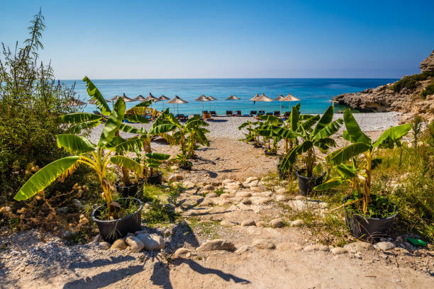 10 Best Places To Visit In Europe In Summer A sandy path lined with palm trees leading to a turquoise beach with umbrellas in Dhermi, Albania - Image by iStockphoto.com